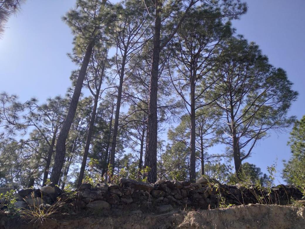 Nature Villaas Basa Homestay Pauri Exterior foto